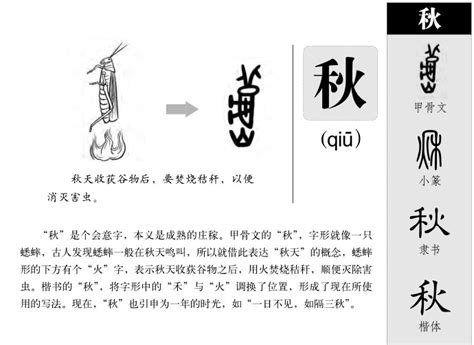 秋字五行|秋五行属什么？